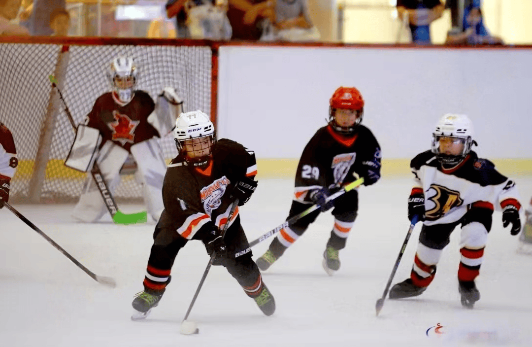 冰球热身赛,雪域闪电队与中原玄武队强势横扫,VAR改判成焦点!战术板得到兑现的简单介绍 冰球热身赛,雪域闪电队与中原玄武队强势横扫,VAR改判成焦点!战术板得到兑现的简单介绍